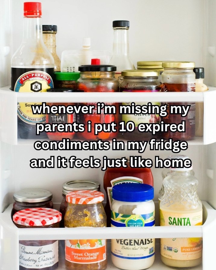 Missing parents meme with expired condiments in fridge