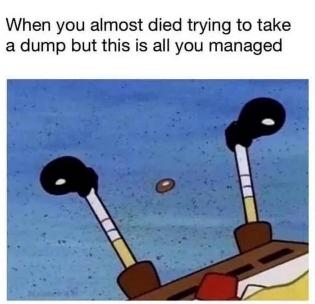 When you almost died trying to take a dump but this is all you managed.