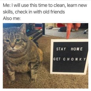 Stay home get chonky meme