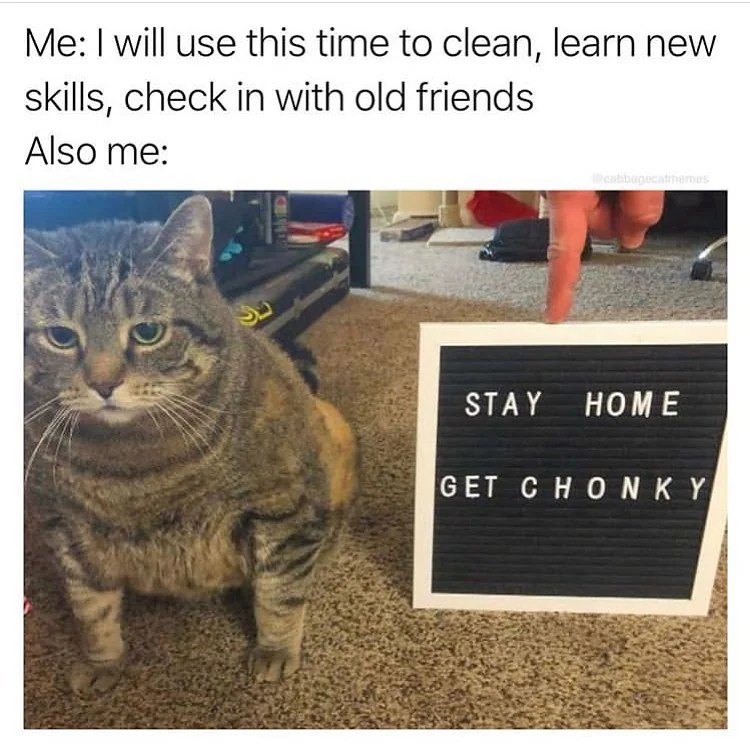Stay home get chonky meme