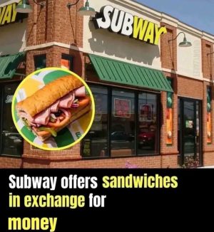 Subway offers sandwiches for money