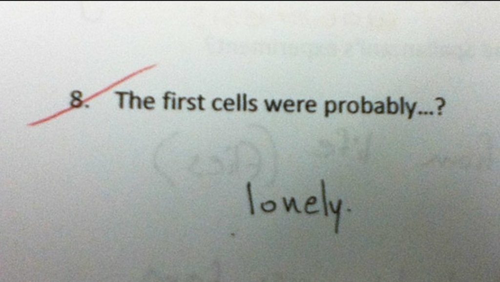 The first cells were probably lonely