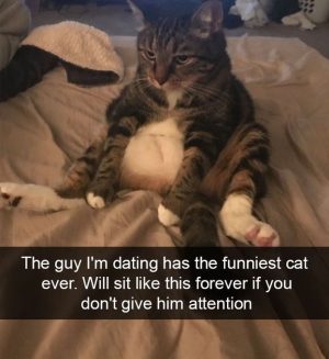 The funniest cat sitting forever for attention