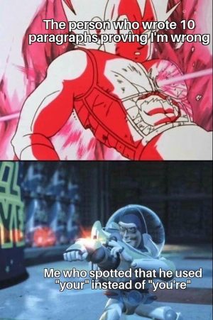 The person who wrote 10 paragraphs proving I'm wrong vs me spotting a grammatical error