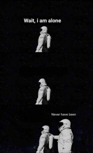 Never have been meme