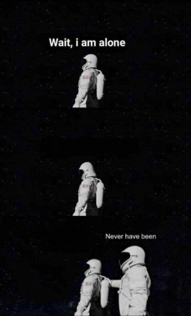 Never have been meme