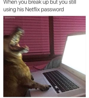 When you break up but you still using his netflix password