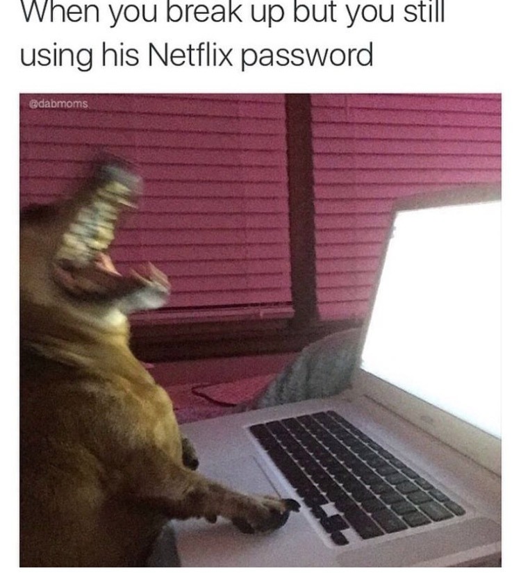 When you break up but you still using his netflix password