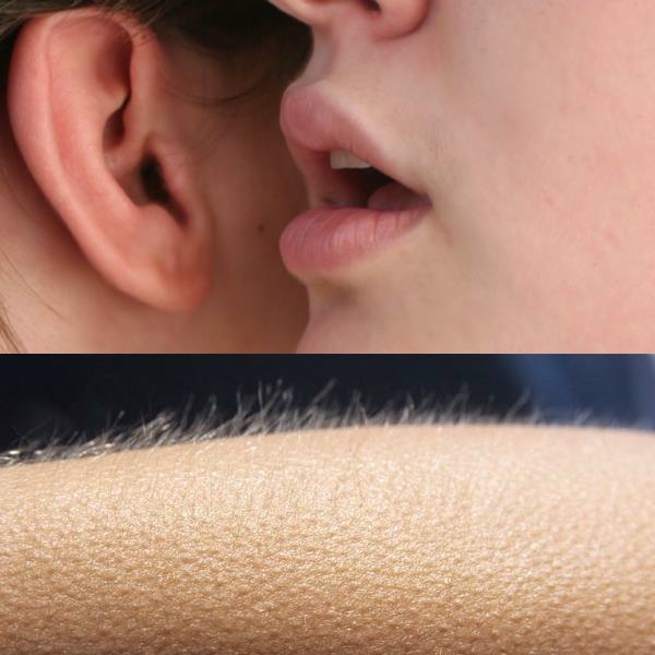 13 Whisper in Ear Goosebumps Meme Examples & Template