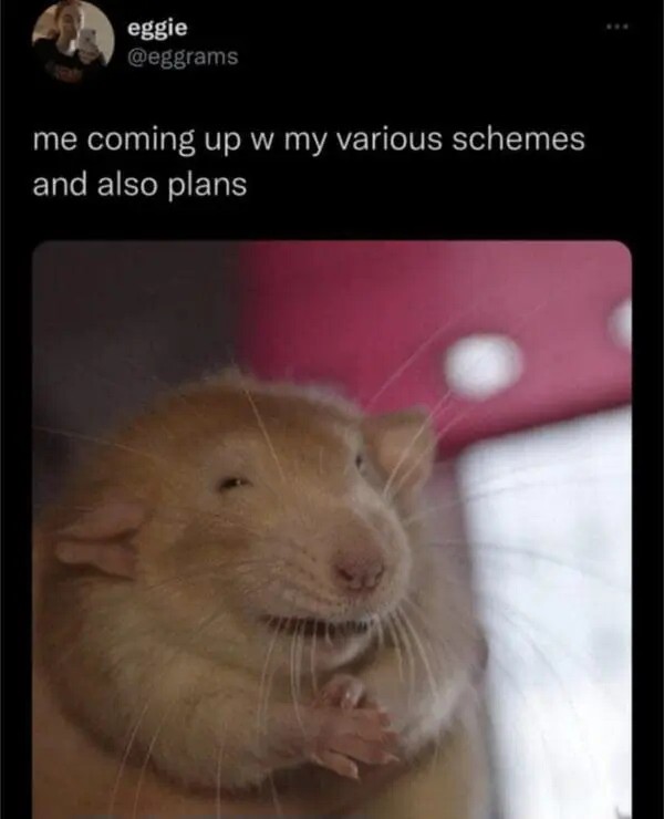 Me coming up with my various schemes and also plans