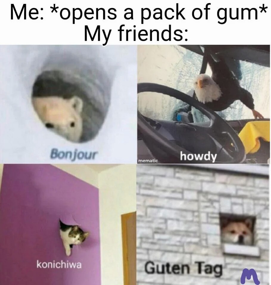 Me opens a pack of gum