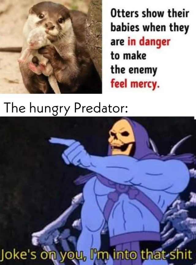 15 "Joke's On You, I'm Into That Shit" Meme Examples & Templates