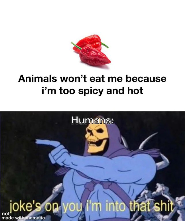 15 "Joke's On You, I'm Into That Shit" Meme Examples & Templates