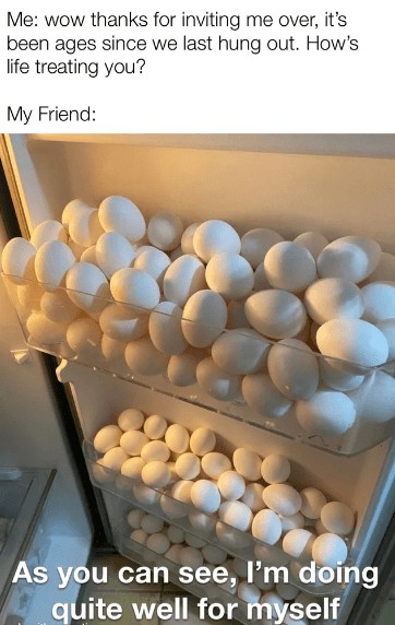 Funny meme about doing well with eggs in fridge
