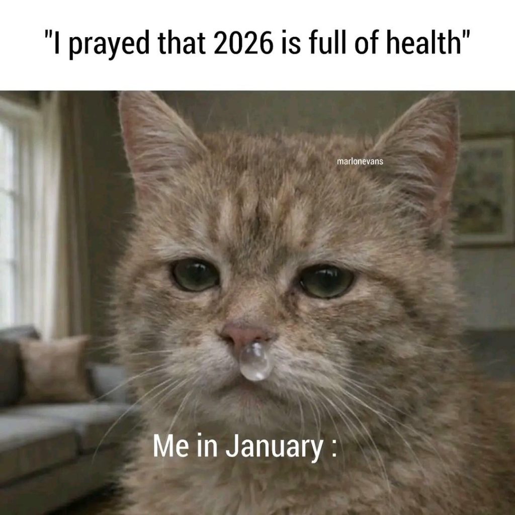 Cat with snot bubble and new year's resolution