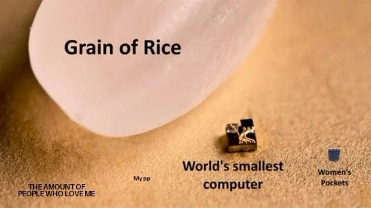 World's smallest computer meme comparison.