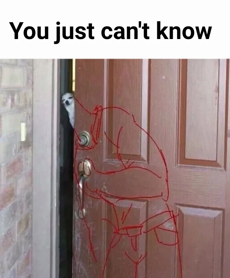 You just can't know meme