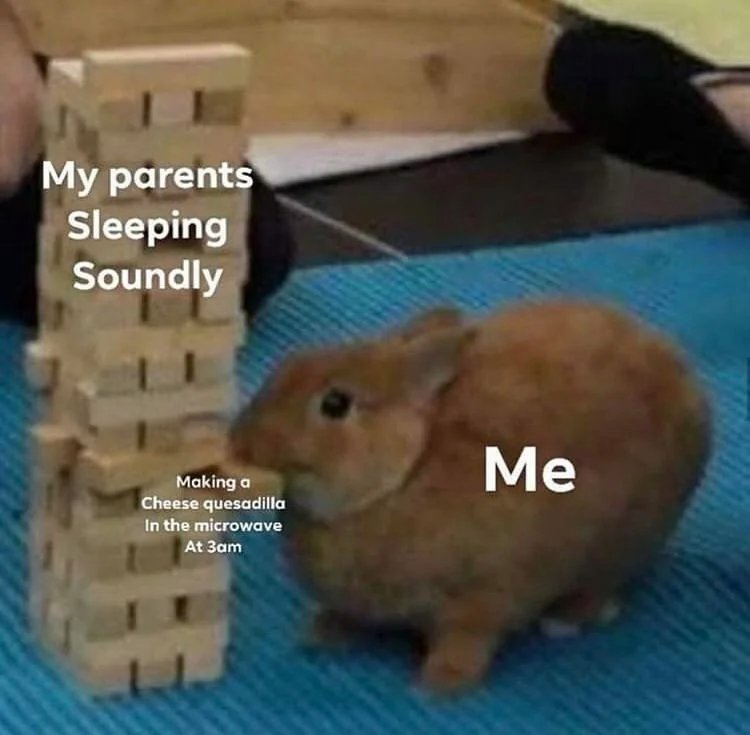 My parents sleeping soundly me making a cheese quesadilla in the microwave at 3am