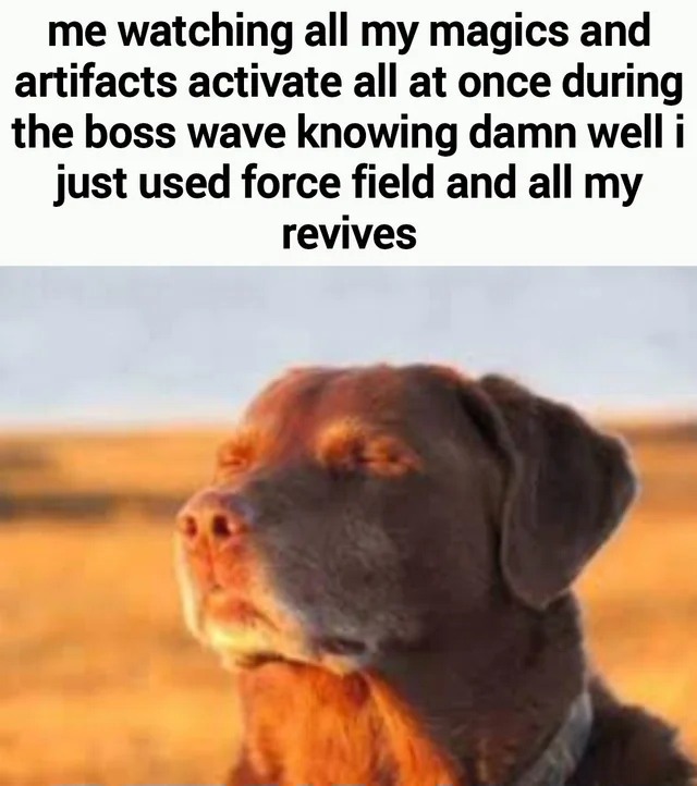 11 Best Dog Accepting Fate Memes: The "Cooked Dog" Against a Sunset