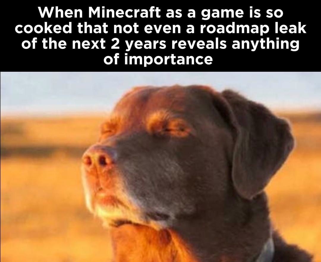 11 Best Dog Accepting Fate Memes: The "Cooked Dog" Against a Sunset