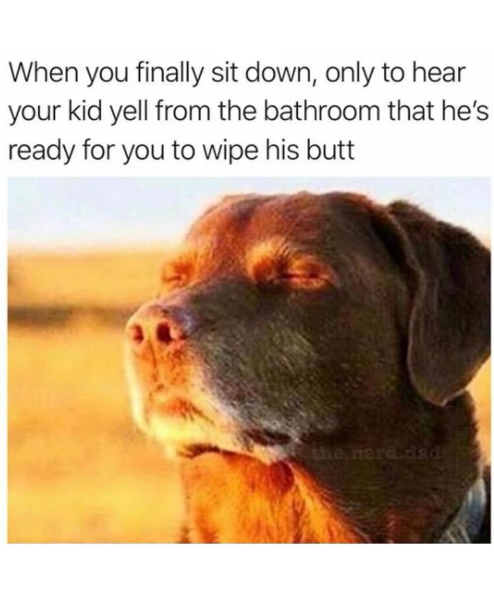 11 Best Dog Accepting Fate Memes: The "Cooked Dog" Against a Sunset