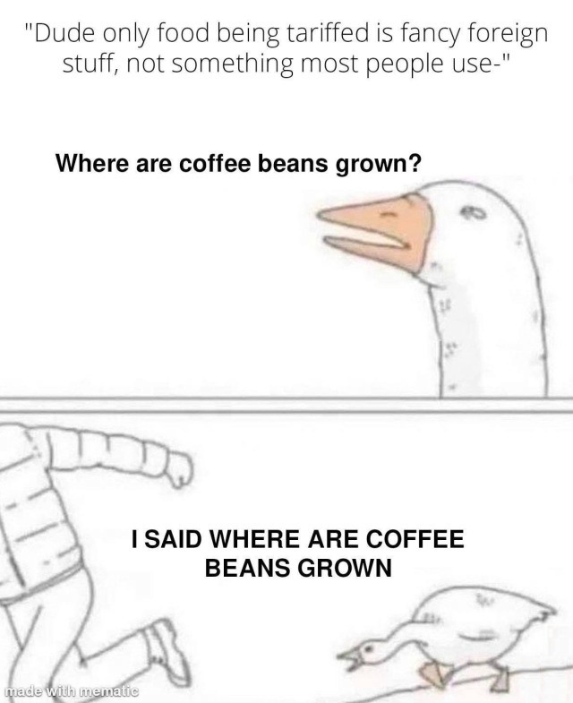 12 Goose Chasing Guy Meme Templates and Their Popular Uses