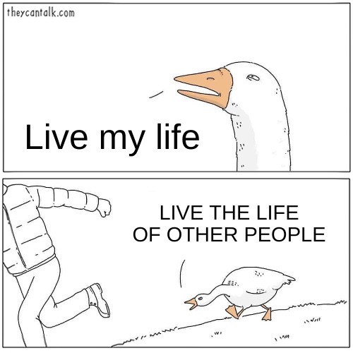 12 Goose Chasing Guy Meme Templates and Their Popular Uses