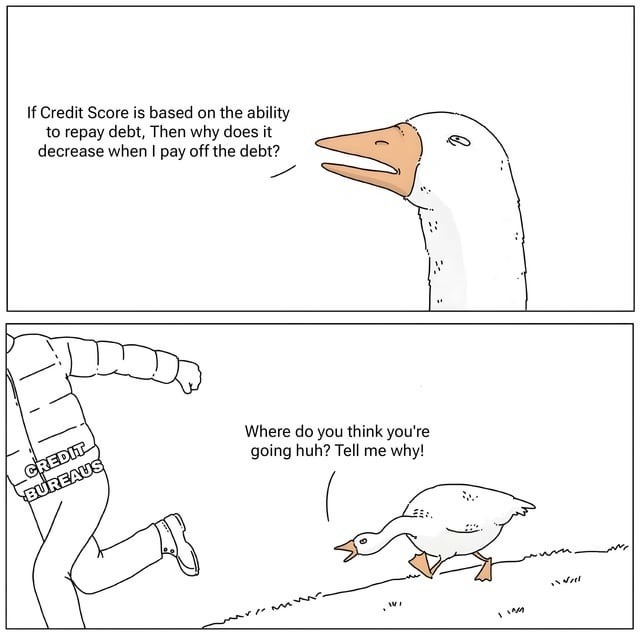 12 Goose Chasing Guy Meme Templates and Their Popular Uses