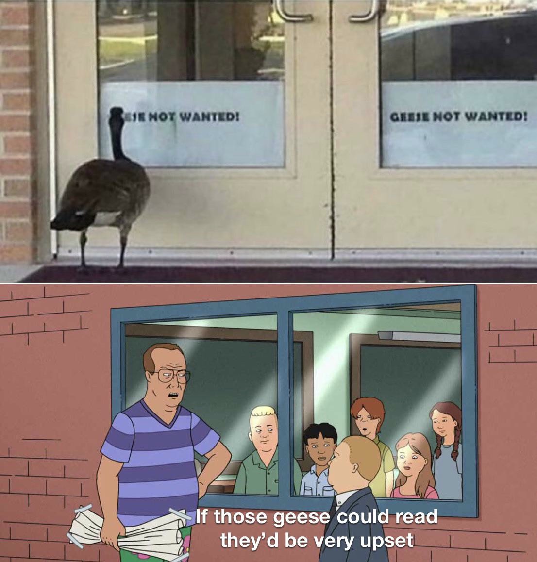 12 "If Those Kids Could Read" Meme Examples & Template 12 "If Those Kids Could Read" Meme Examples & Template