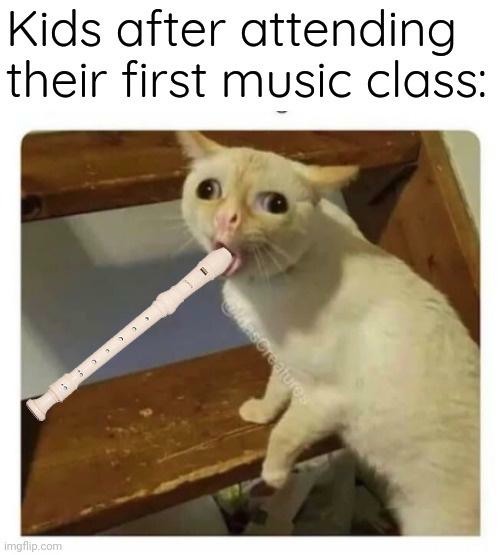 13 Coughing Cat Memes: The Best Examples of This Exaggerated Template Across All Themes