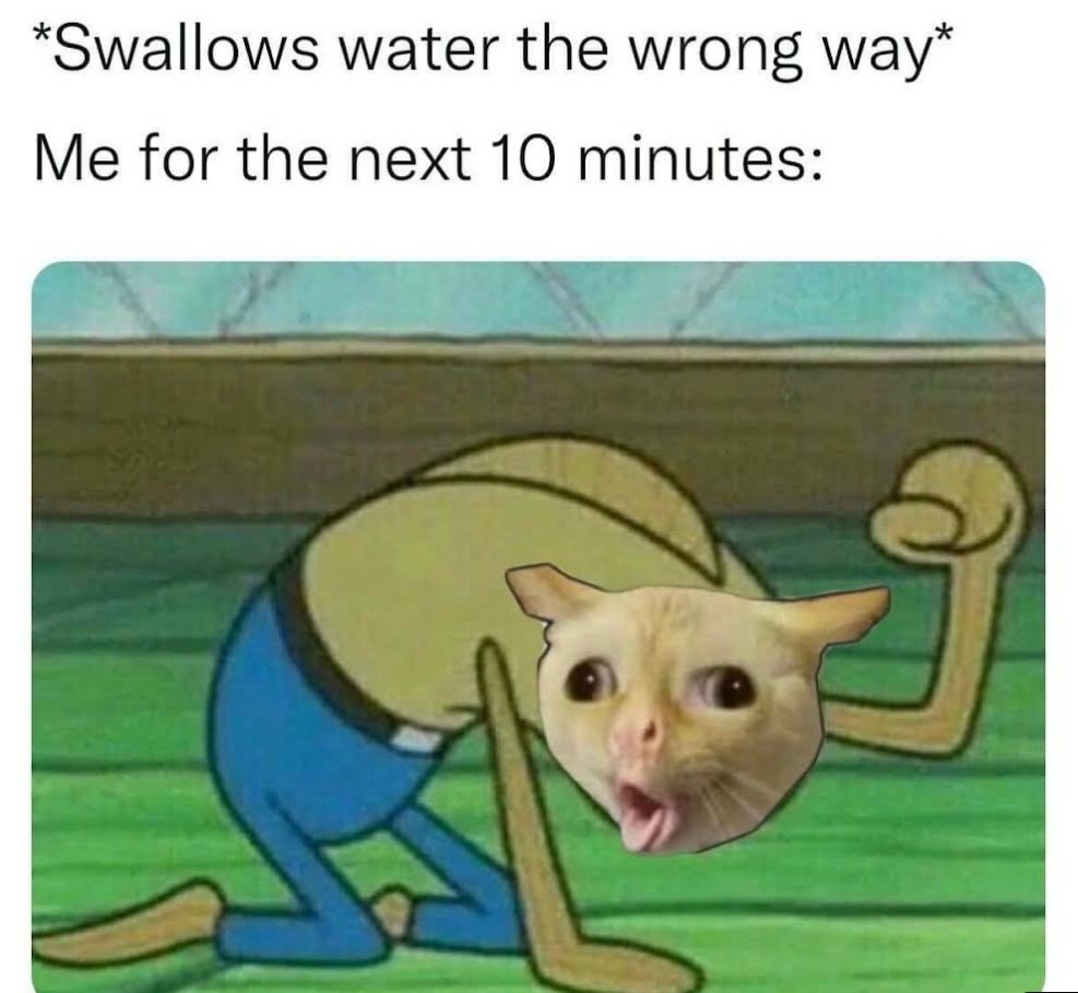 13 Coughing Cat Memes: The Best Examples of This Exaggerated Template Across All Themes