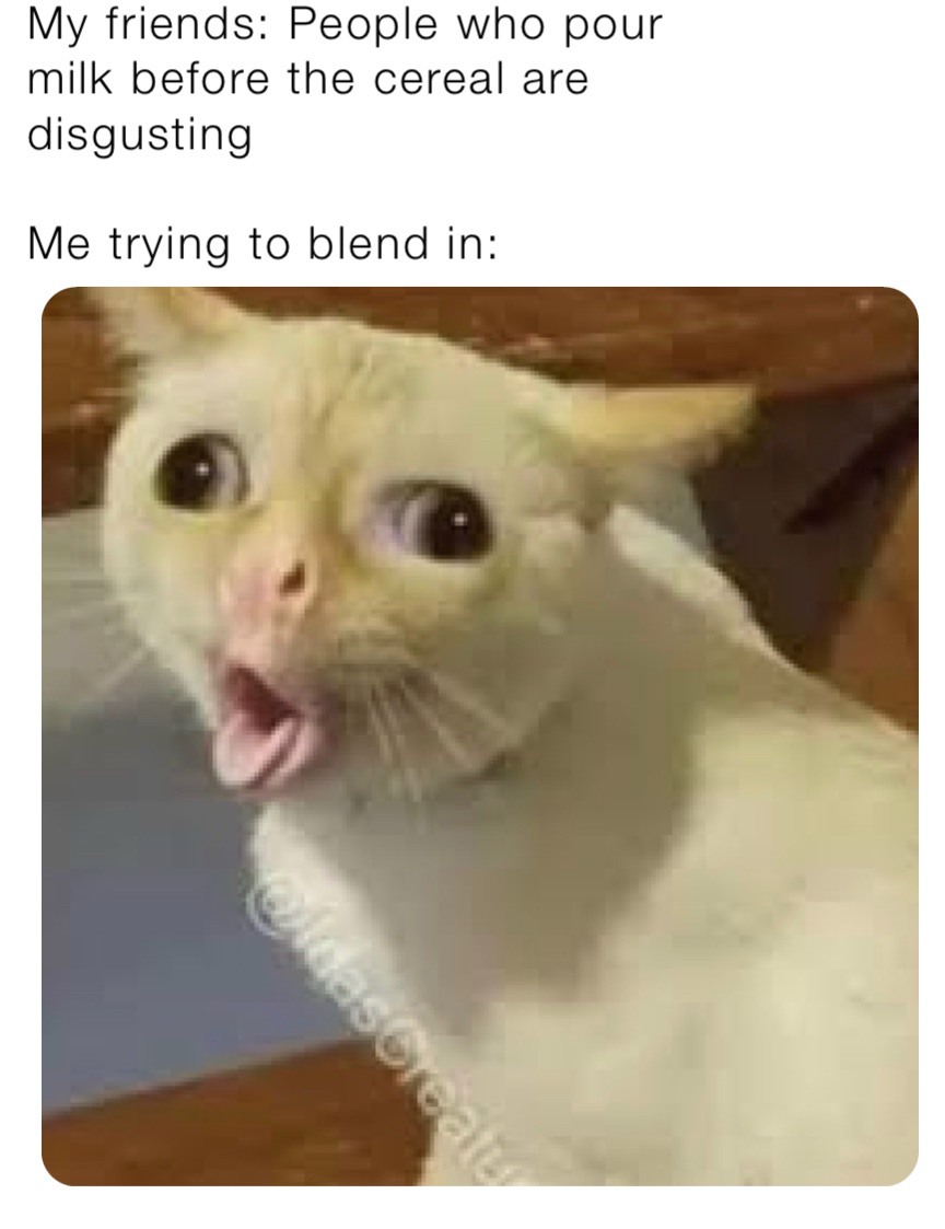 13 Coughing Cat Memes: The Best Examples of This Exaggerated Template Across All Themes