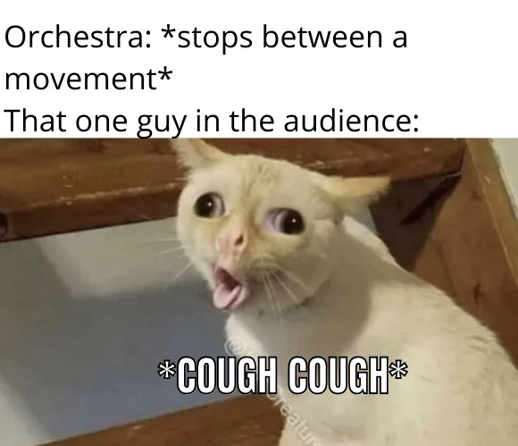 13 Coughing Cat Memes: The Best Examples of This Exaggerated Template Across All Themes