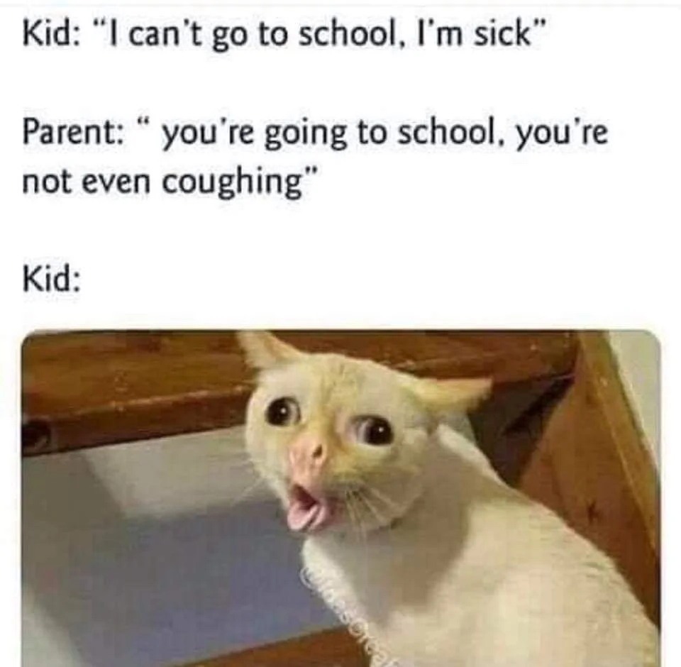 13 Coughing Cat Memes: The Best Examples of This Exaggerated Template Across All Themes