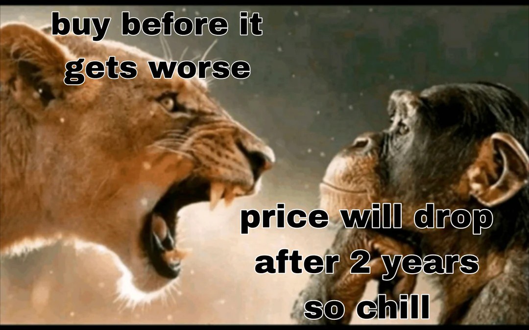 14+ Lion Yelling At Monkey Memes: The Best Templates for Unilateral Emotional Output