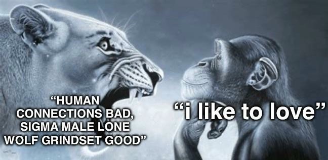 14+ Lion Yelling At Monkey Memes: The Best Templates for Unilateral Emotional Output