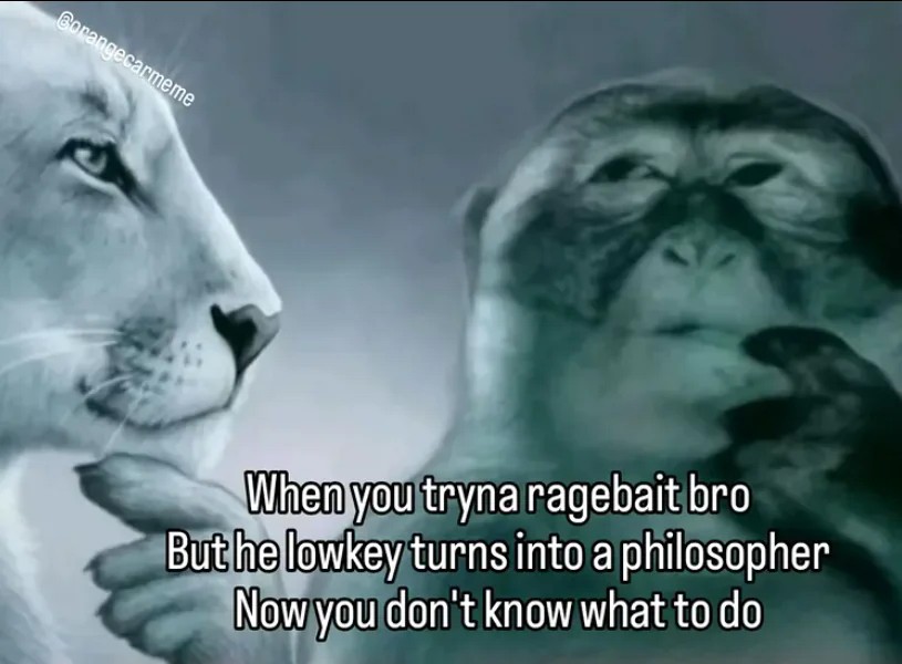 14+ Lion Yelling At Monkey Memes: The Best Templates for Unilateral Emotional Output