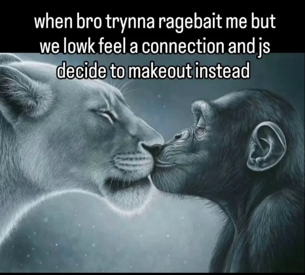 14+ Lion Yelling At Monkey Memes: The Best Templates for Unilateral Emotional Output