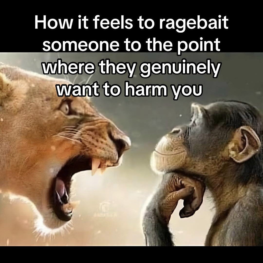 14+ Lion Yelling At Monkey Memes: The Best Templates for Unilateral Emotional Output