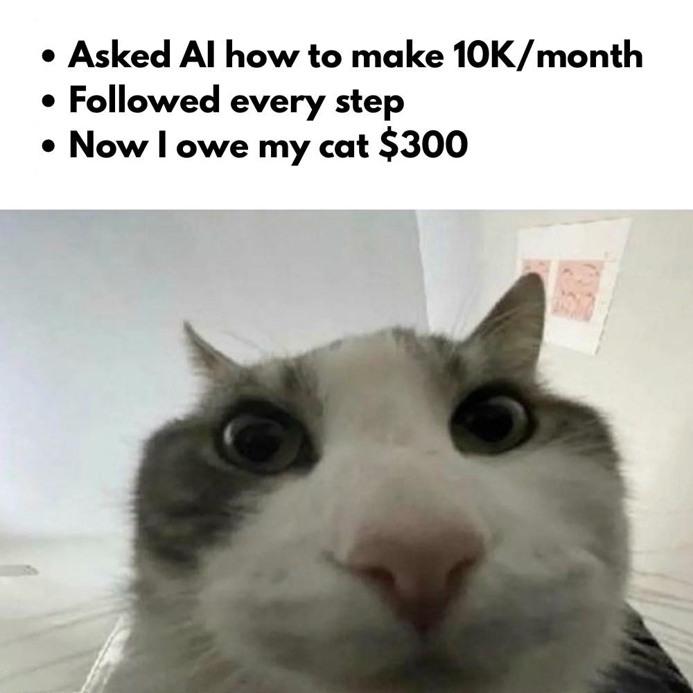 16 Best "Cat Looks Inside" Memes for That Instant Feeling of Disillusionment