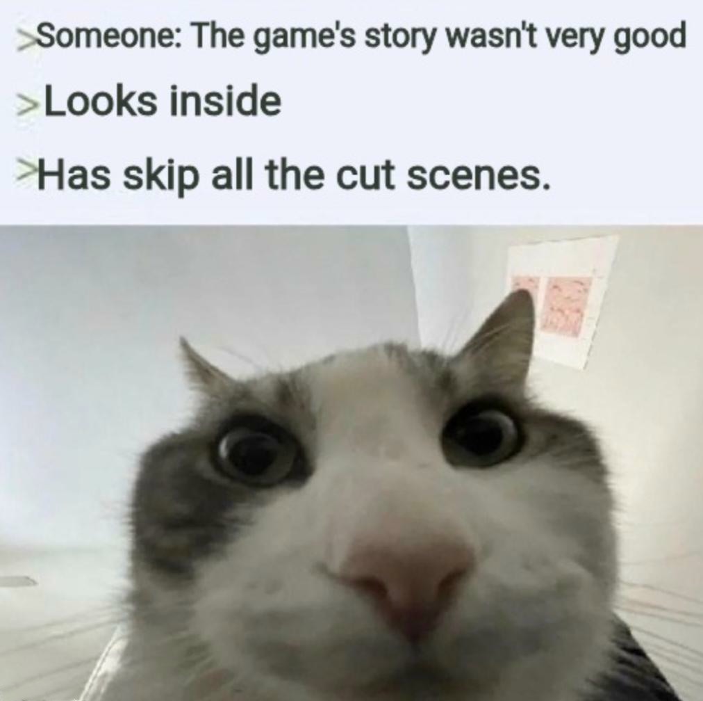 16 Best "Cat Looks Inside" Memes for That Instant Feeling of Disillusionment