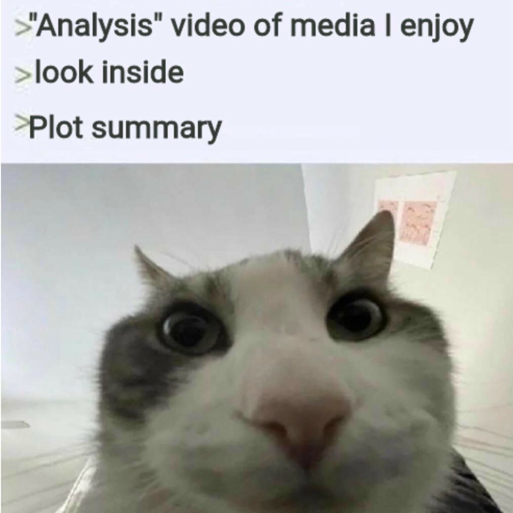 16 Best "Cat Looks Inside" Memes for That Instant Feeling of Disillusionment