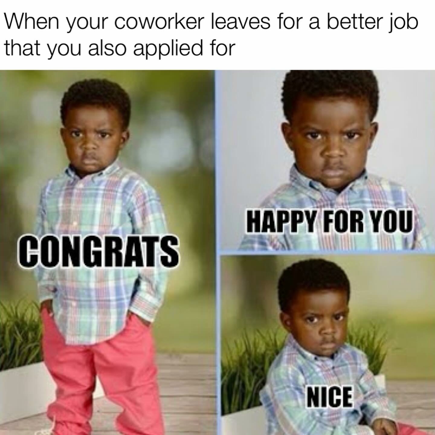 16 Best "Congrats Happy For You" Meme for Expressing Salty Envy