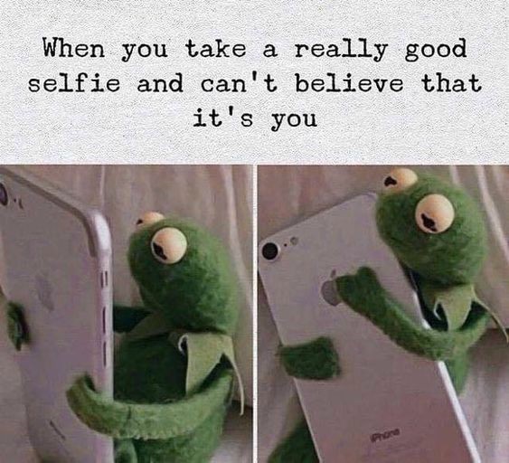 16 Best Kermit Hugging Phone Memes for Your Wholesome Collection 16 Best Kermit Hugging Phone Memes for Your Wholesome Collection