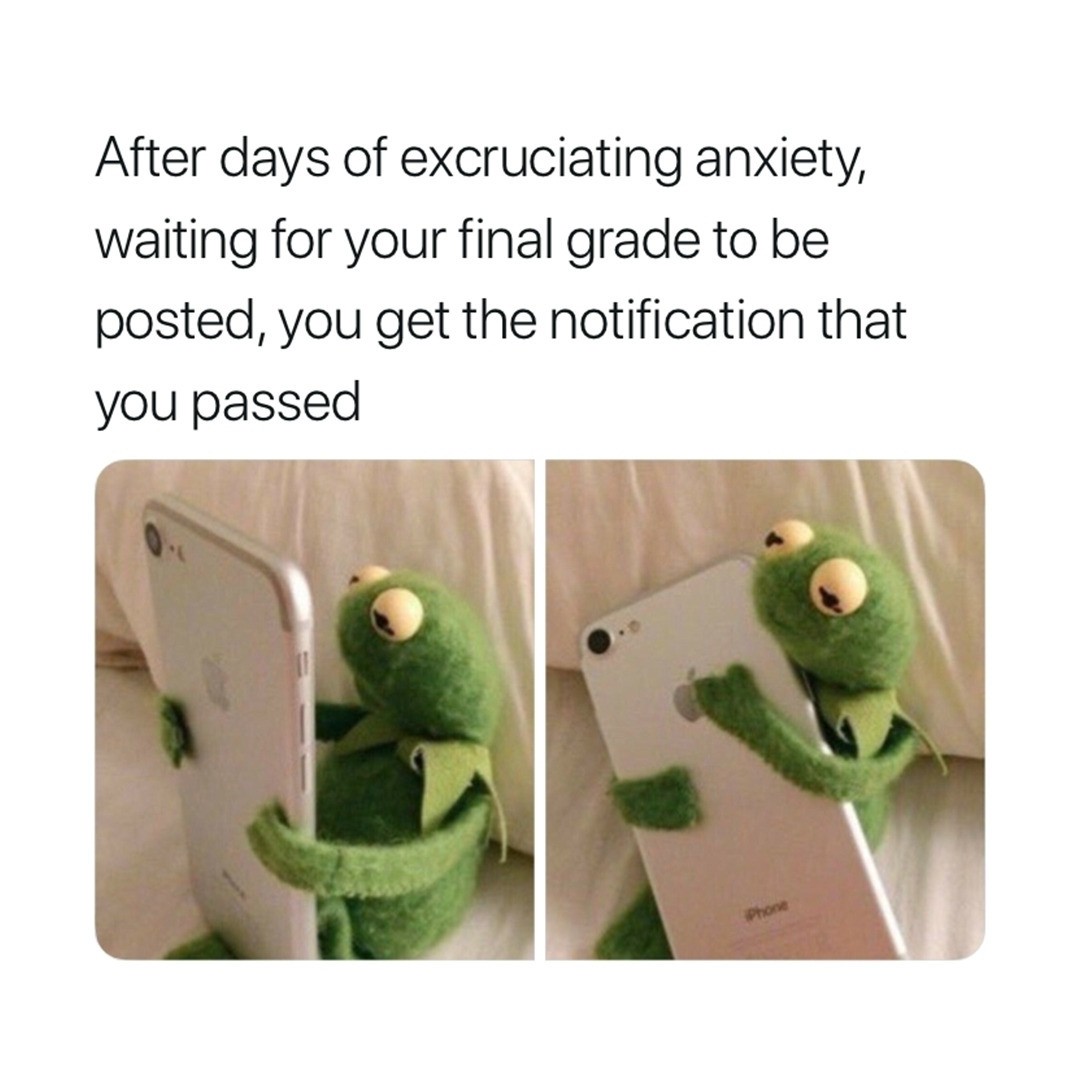 16 Best Kermit Hugging Phone Memes for Your Wholesome Collection 16 Best Kermit Hugging Phone Memes for Your Wholesome Collection