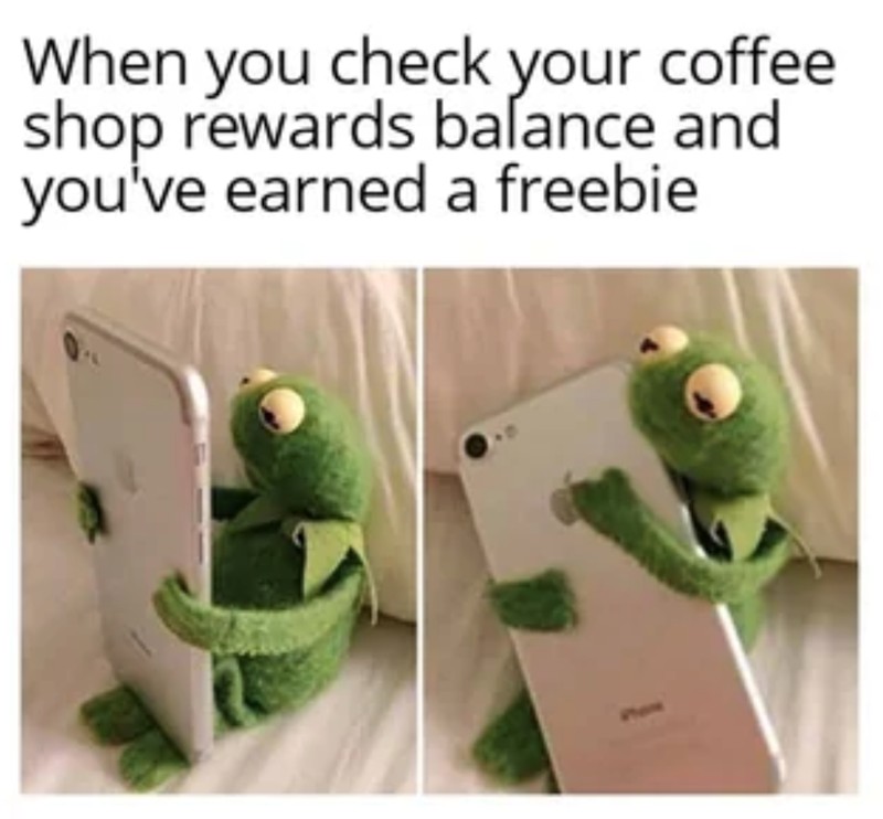 16 Best Kermit Hugging Phone Memes for Your Wholesome Collection 16 Best Kermit Hugging Phone Memes for Your Wholesome Collection