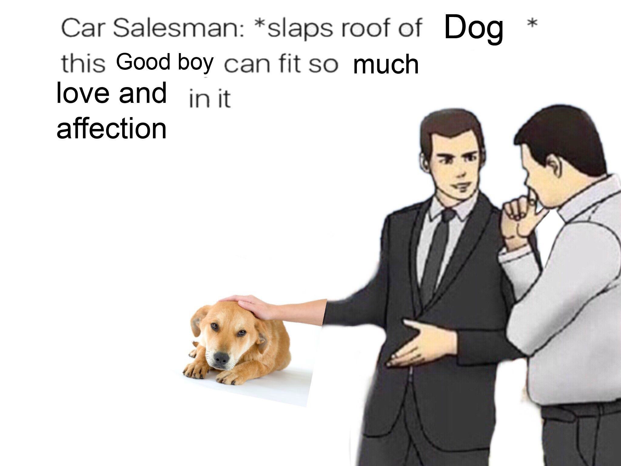 17 Absurdly Funny "Slaps Roof of Car" Memes and Blank Templates