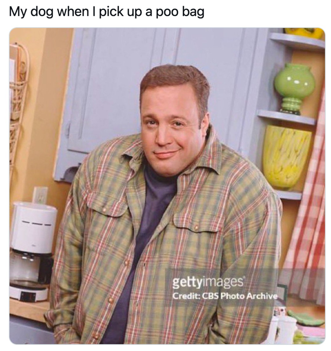 17+ Kevin James Smirking Memes: The King of Queens Template for Cheeky Confidence 17+ Kevin James Smirking Memes: The King of Queens Template for Cheeky Confidence