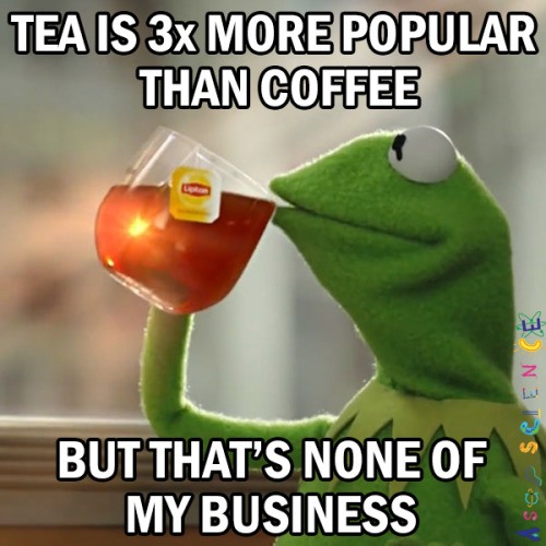 17 Relatable Kermit Sipping Tea Memes: The Best "None of My Business" Templates