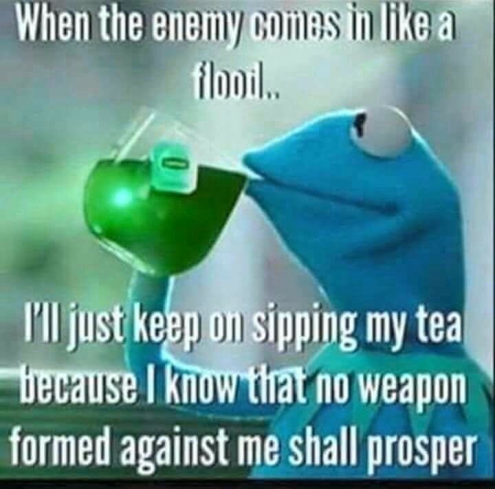 17 Relatable Kermit Sipping Tea Memes: The Best "None of My Business" Templates